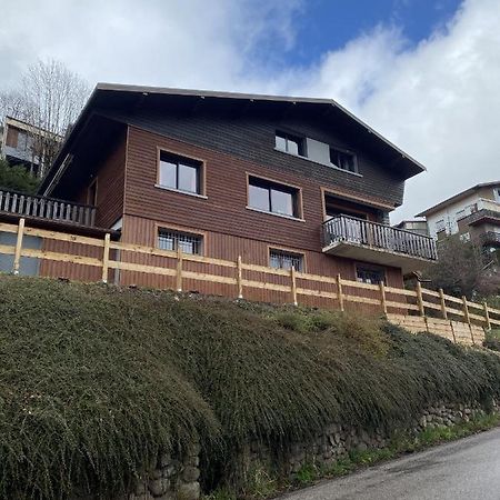 Chalet Les Trois Vallees Villa La Bresse Buitenkant foto
